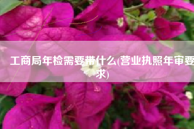 工商局年检需要带什么(营业执照年审要求)