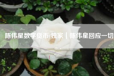 陈伟星数字货币(独家｜陈伟星回应一切)