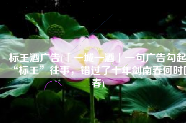 标王酒广告(「一城一酒」一句广告勾起“标王”往事，错过了十年剑南春何时回春)