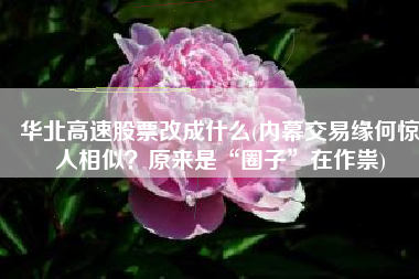 华北高速股票改成什么(内幕交易缘何惊人相似？原来是“圈子”在作祟)