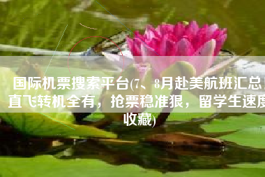 国际机票搜索平台(7、8月赴美航班汇总！直飞转机全有，抢票稳准狠，留学生速度收藏)