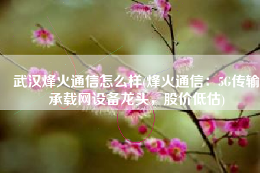 武汉烽火通信怎么样(烽火通信：5G传输承载网设备龙头，股价低估)