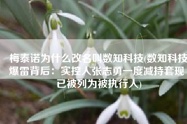 梅泰诺为什么改名叫数知科技(数知科技爆雷背后：实控人张志勇一度减持套现 已被列为被执行人)