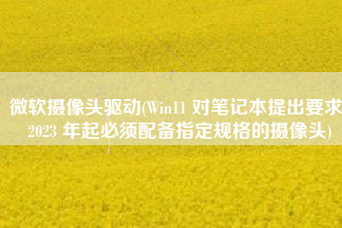 微软摄像头驱动(Win11 对笔记本提出要求，2023 年起必须配备指定规格的摄像头)
