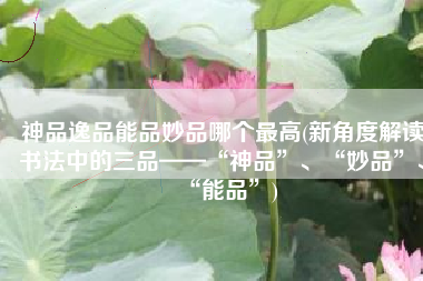 神品逸品能品妙品哪个最高(新角度解读书法中的三品——“神品”、“妙品”、“能品”)