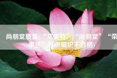 尚朋堂质量(“艾美特”“尚朋堂”“荣事达”等电磁炉不合格)