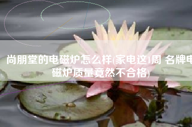 尚朋堂的电磁炉怎么样(家电这1周 名牌电磁炉质量竟然不合格)