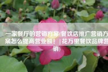 一家餐厅的营销方案(餐饮店推广营销方案怎么提高营业额！|花万里餐饮品牌营销)