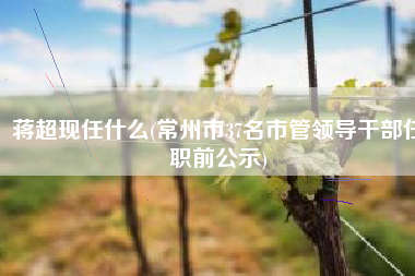 蒋超现任什么(常州市37名市管领导干部任职前公示)