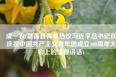 成一农(嘉善县青年热议习近平总书记在庆祝中国共产主义青年团成立100周年大会上的重要讲话)