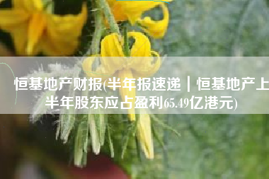恒基地产财报(半年报速递｜恒基地产上半年股东应占盈利65.49亿港元)