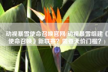 动视暴雪使命召唤官网(动视暴雪组建《使命召唤》新联赛？需要天价门槛？)