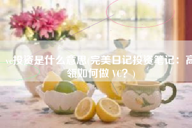 vc投资是什么意思(完美日记投资笔记：高瓴如何做 VC？)
