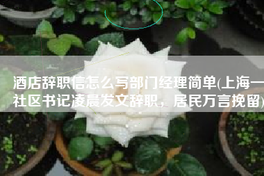酒店辞职信怎么写部门经理简单(上海一社区书记凌晨发文辞职，居民万言挽留)