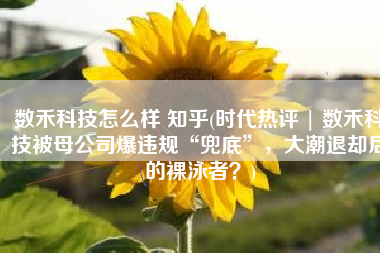 数禾科技怎么样 知乎(时代热评 | 数禾科技被母公司爆违规“兜底”，大潮退却后的裸泳者？)