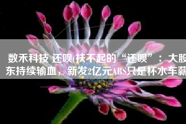 数禾科技 还呗(扶不起的“还呗”：大股东持续输血，新发2亿元ABS只是杯水车薪)