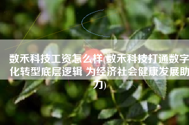 数禾科技工资怎么样(数禾科技打通数字化转型底层逻辑 为经济社会健康发展助力)