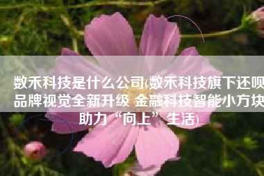 数禾科技是什么公司(数禾科技旗下还呗品牌视觉全新升级 金融科技智能小方块助力“向上”生活)