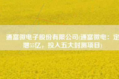 通富微电子股份有限公司(通富微电：定增55亿，投入五大封测项目)