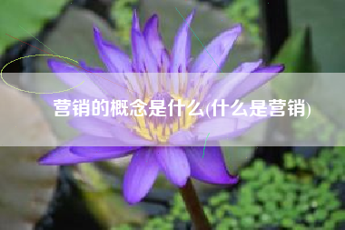 营销的概念是什么(什么是营销)