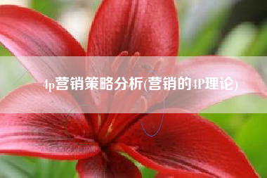 4p营销策略分析(营销的4P理论)