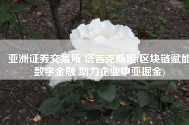 亚洲证券交易所 塔吉克斯坦(区块链赋能数字金融 助力企业中亚掘金)