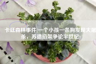 卡廷森林事件(一个小孩一条狗发现大屠杀，苏德掐架争论半世纪)