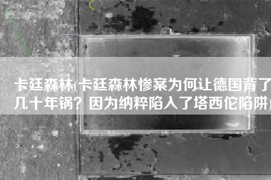 卡廷森林(卡廷森林惨案为何让德国背了几十年锅？因为纳粹陷入了塔西佗陷阱)
