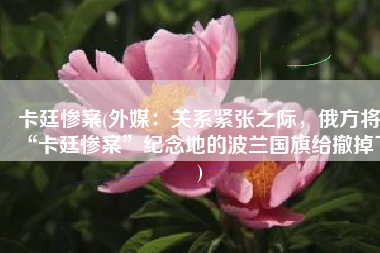 卡廷惨案(外媒：关系紧张之际，俄方将“卡廷惨案”纪念地的波兰国旗给撤掉了)