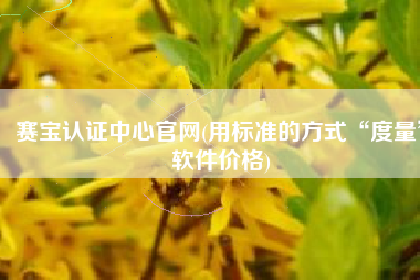 赛宝认证中心官网(用标准的方式“度量”软件价格)