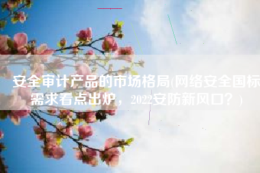 安全审计产品的市场格局(网络安全国标需求看点出炉，2022安防新风口？)