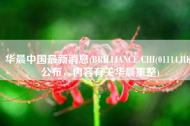 华晨中国最新消息(BRILLIANCE CHI(01114.HK)公布，内容有关华晨重整)