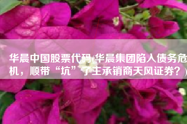 华晨中国股票代码(华晨集团陷入债务危机，顺带“坑”了主承销商天风证券？)
