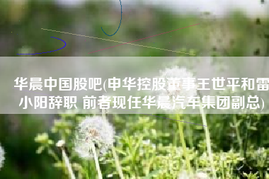 华晨中国股吧(申华控股董事王世平和雷小阳辞职 前者现任华晨汽车集团副总)