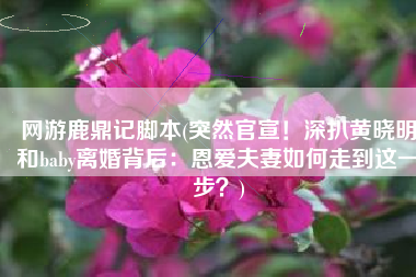 网游鹿鼎记脚本(突然官宣！深扒黄晓明和baby离婚背后：恩爱夫妻如何走到这一步？)