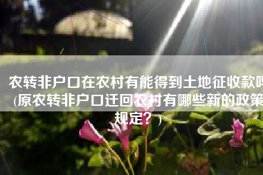农转非户口在农村有能得到土地征收款吗(原农转非户口迁回农村有哪些新的政策规定？)
