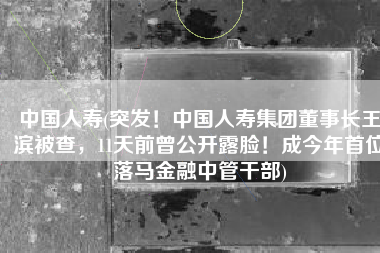 中国人寿(突发！中国人寿集团董事长王滨被查，11天前曾公开露脸！成今年首位落马金融中管干部)