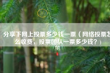 分享下网上投票多少钱一票（网络投票怎么收费，投票团队一票多少钱？)
