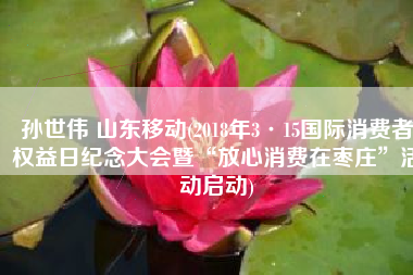 孙世伟 山东移动(2018年3·15国际消费者权益日纪念大会暨“放心消费在枣庄”活动启动)