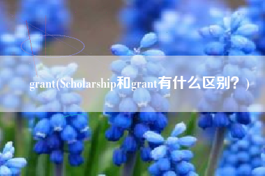 grant(Scholarship和grant有什么区别？)