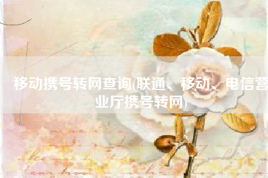 移动携号转网查询(联通、移动、电信营业厅携号转网)