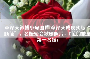 章泽天微博小号图片(章泽天成现实版“顾佳”，名媛聚会被删照片，C位的她是第一名媛)