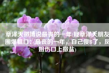 章泽天微博说最丧的一年(疑章泽天朋友圈爆粗口：最丧的一年，自己傻B了，凤姐伤口上撒盐)