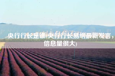 央行行长是谁(央行行长易纲最新发言，信息量很大)