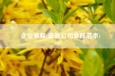 企业章程(最新公司章程范本)