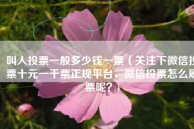 叫人投票一般多少钱一票（关注下微信投票十元一千票正规平台，微信投票怎么刷票呢？)