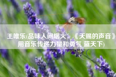 王唯乐(品味人间烟火，《天赐的声音》用音乐传递力量和勇气 蓝天下)