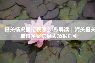 报关情况登记表怎么填(解读 | 海关报关单位备案信息表填报指引)