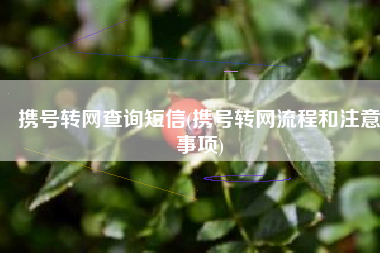 携号转网查询短信(携号转网流程和注意事项)