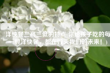 洋快餐三高三低的特点(你给孩子吃的每一顿洋快餐，都在毁灭我们的未来！)